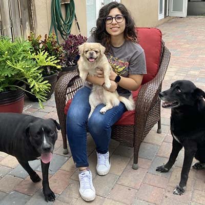 pet-sitter-in-margate Pet sitter is sitting in a chair with her three dogs.