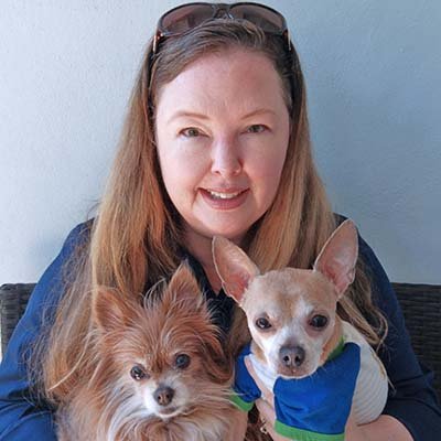 daily-dog-walking-in-fort-lauderdale-fl daily dog walking in Fort Lauderdale FL