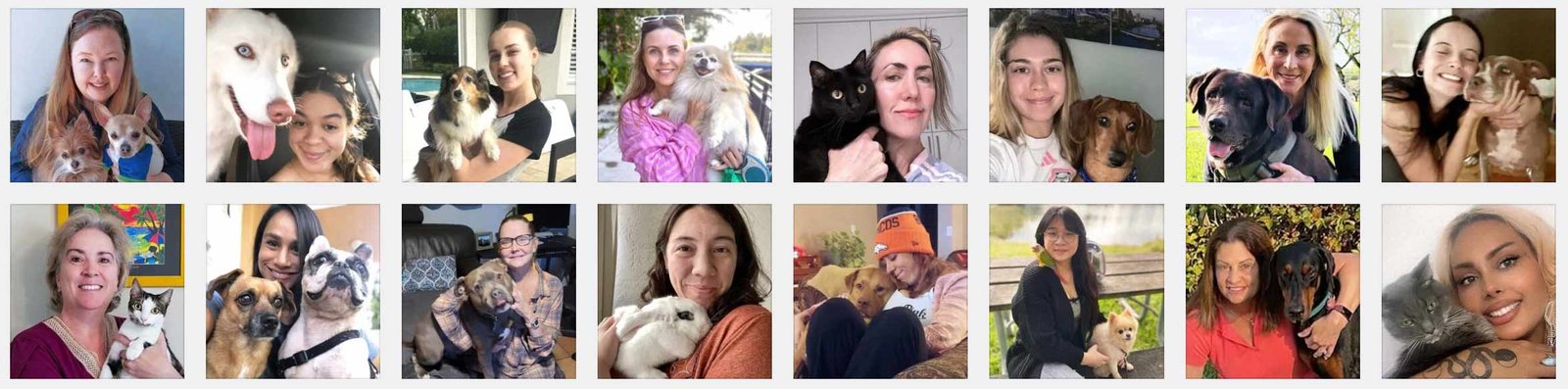 free-pet-sitter-in-broward-county-florida free pet sitter in broward county florida