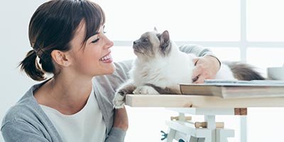 Cat sitting in Broward FL