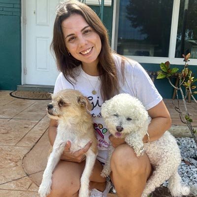 Daily Dog Walker in Hollywood FL: