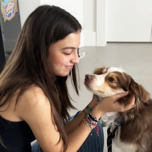Daily Dog Walker in Weston FL