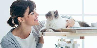 24/7 pet sitting in Broward County FL