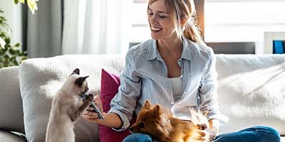 Long term hourly pet sitting in Broward County FL
