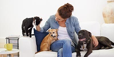 Overnight Pet Sitting in Broward County FL